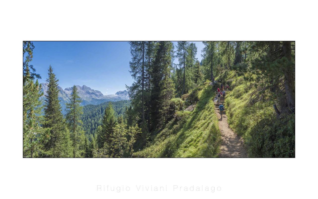 Rifugio Viviani Pradalago Madonna エクステリア 写真