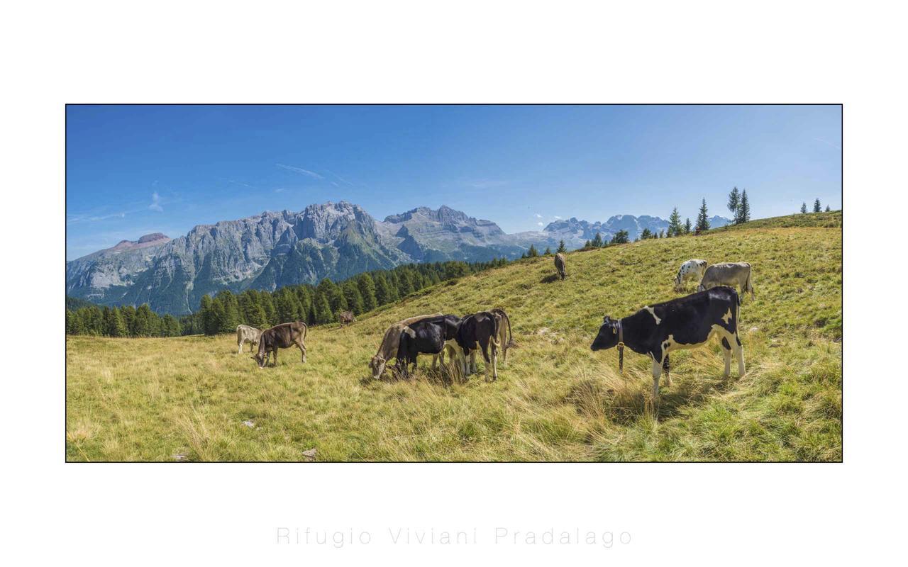 Rifugio Viviani Pradalago Madonna エクステリア 写真